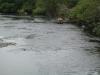 Fish stream 6_thumb.jpg 1.9K